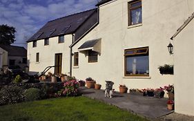 Plas Newydd Farm