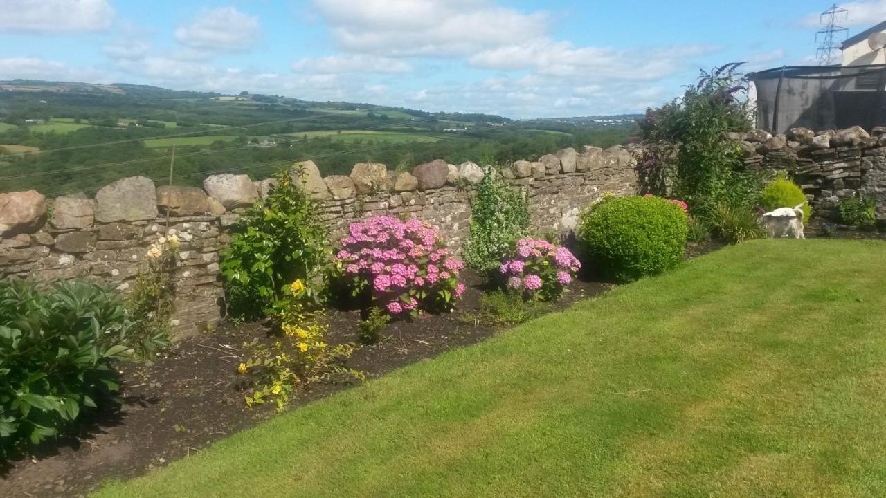 Plas Newydd Farm Llanedy Exterior photo